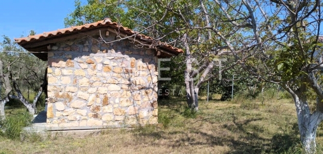 https://www.questrealty.gr/images/properties/116909103.jpg