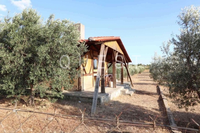 https://www.questrealty.gr/images/properties/11875120.jpg