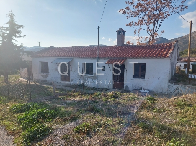 https://www.questrealty.gr/images/properties/11976754.jpg