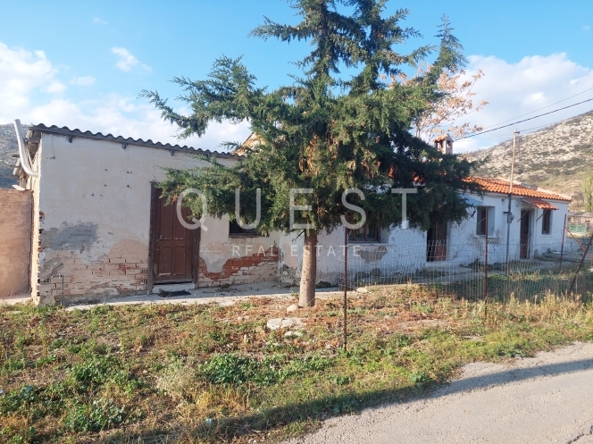 https://www.questrealty.gr/images/properties/119767726.jpg