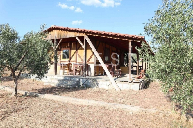 https://www.questrealty.gr/images/properties/118756459.jpg