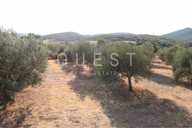 https://www.questrealty.gr/images/properties/118756959.jpg