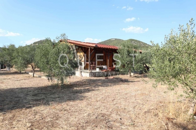 https://www.questrealty.gr/images/properties/118757006.jpg