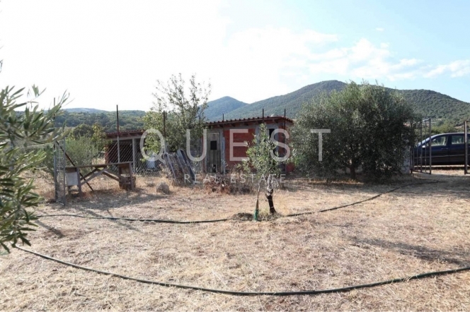 https://www.questrealty.gr/images/properties/118757123.jpg