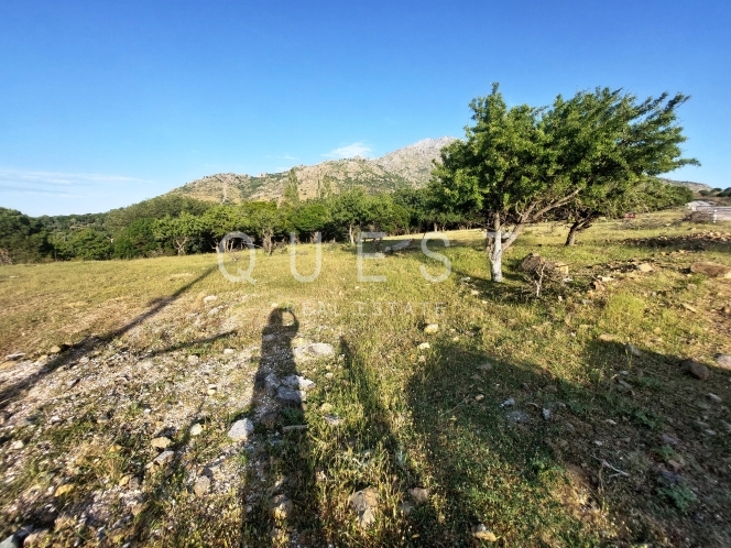 https://www.questrealty.gr/images/properties/119059252.jpg