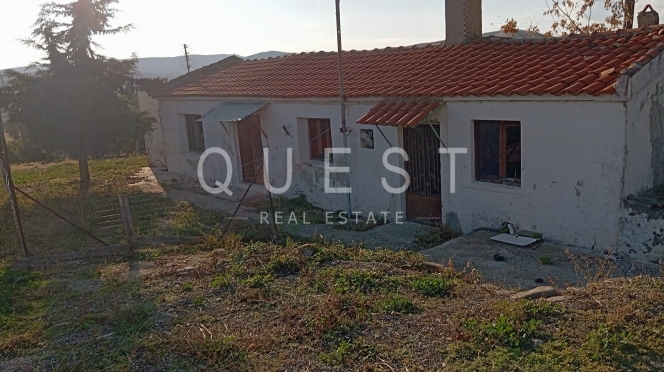 https://www.questrealty.gr/images/properties/119761584.jpg