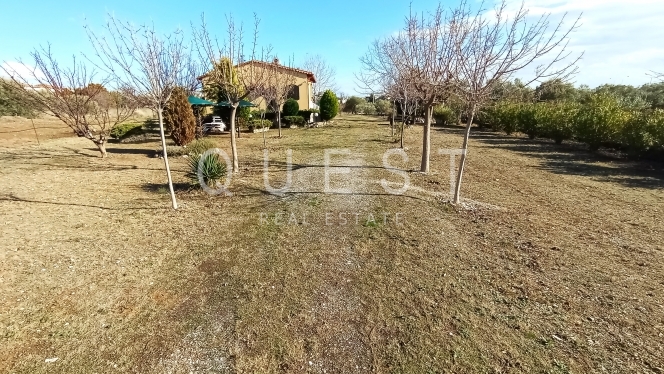 https://www.questrealty.gr/images/properties/218211262.jpg