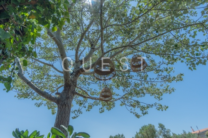 https://www.questrealty.gr/images/properties/219067382.jpg