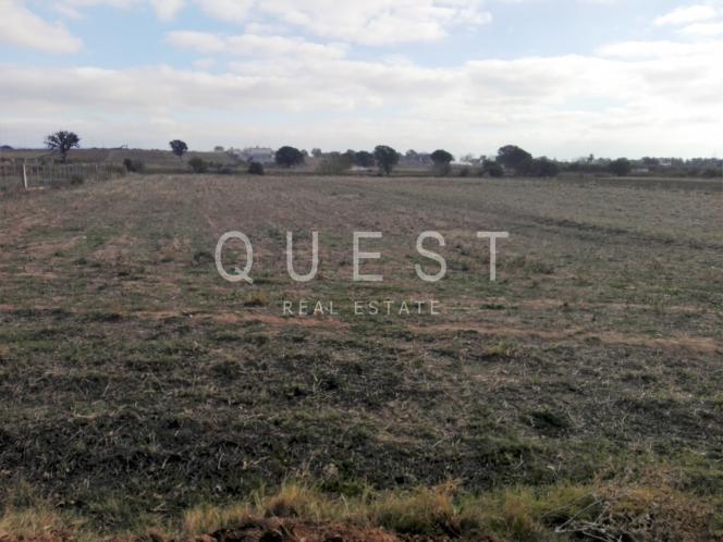 https://www.questrealty.gr/images/properties/26113502.jpg