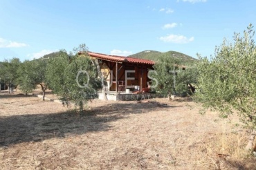 https://www.questrealty.gr/images/properties/118757006.jpg